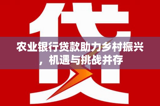 米脂农业银行贷款助力乡村振兴，机遇与挑战并存