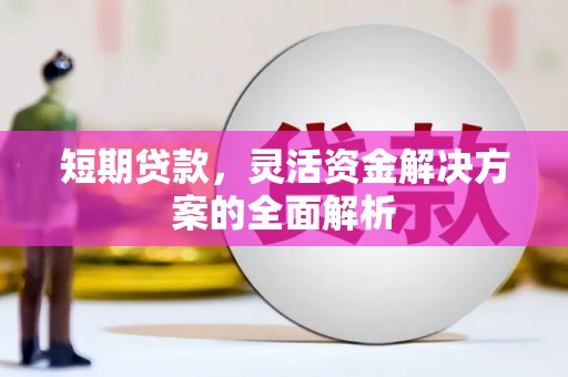 米脂短期贷款，灵活资金解决方案的全面解析