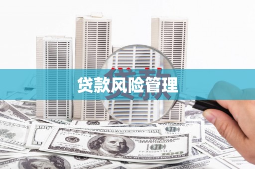 米脂贷款风险管理