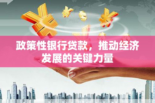 米脂政策性银行贷款，推动经济发展的关键力量