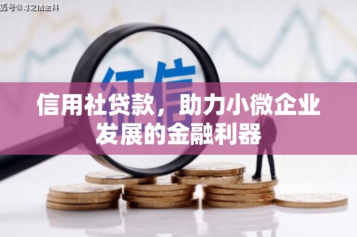 米脂信用社贷款，助力小微企业发展的金融利器