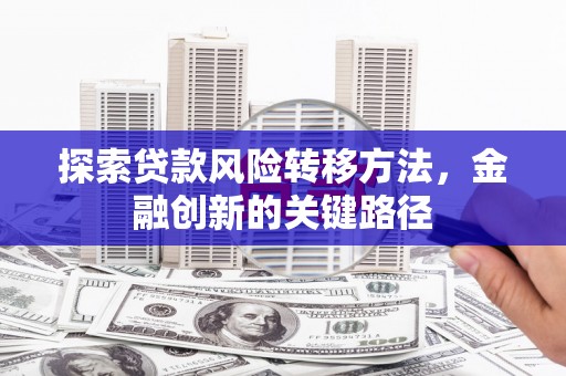 米脂探索贷款风险转移方法，金融创新的关键路径