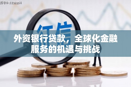 米脂外资银行贷款，全球化金融服务的机遇与挑战