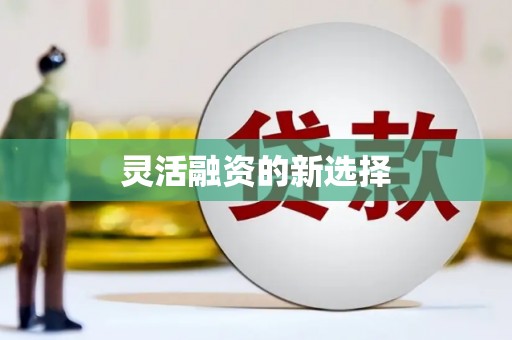 米脂灵活融资的新选择