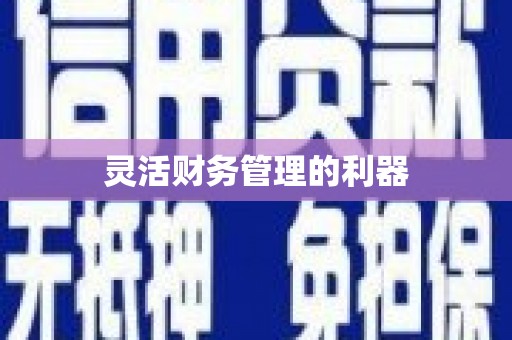 米脂灵活财务管理的利器